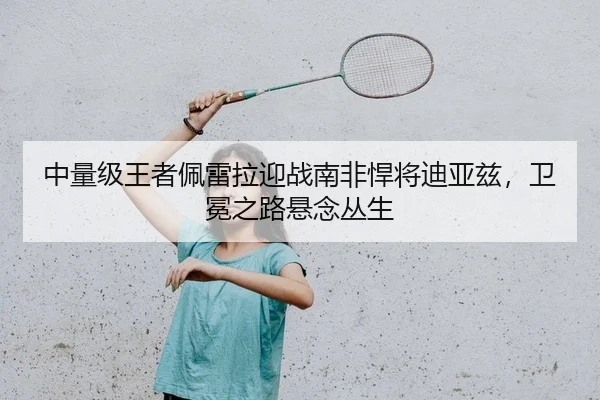 中量级王者佩雷拉迎战南非悍将迪亚兹，卫冕之路悬念丛生